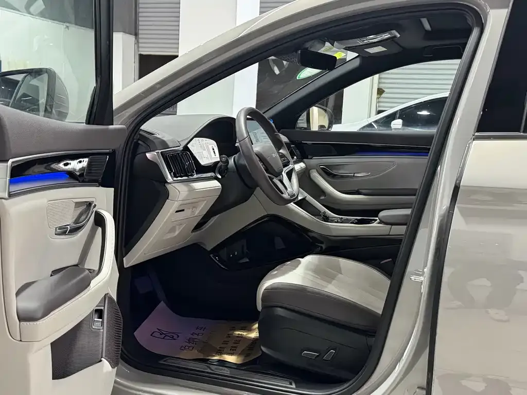 BYD PLUS New Energy 2024 из CN, фото 10