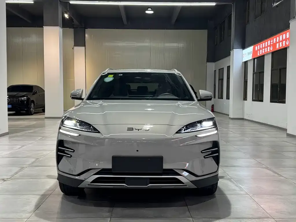 BYD PLUS New Energy 2024 из CN, фото 2