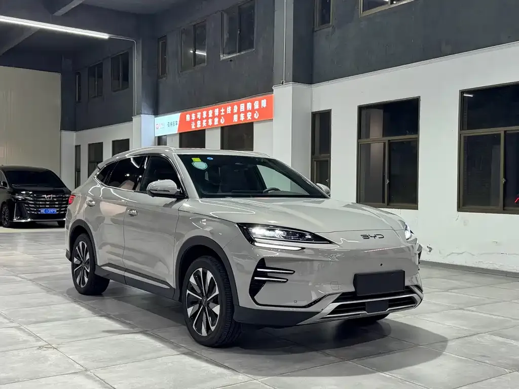 BYD PLUS New Energy 2024 из CN, фото 3