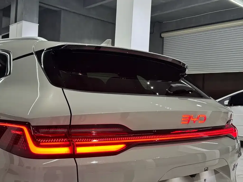 BYD PLUS New Energy 2024 из CN, фото 6