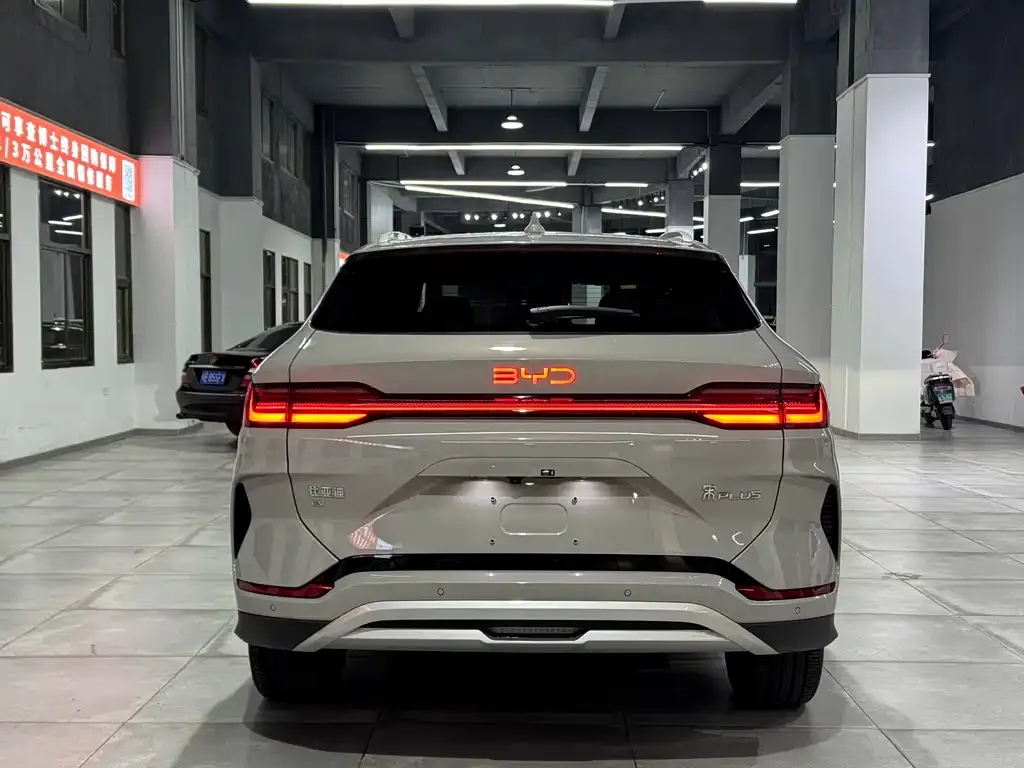 BYD PLUS New Energy 2024 из CN, фото 8
