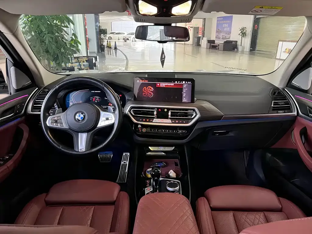 BMW X3 2023 из CN, фото 6