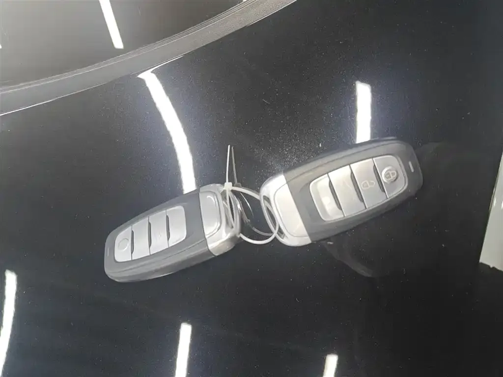Hongqi H9 2022 из CN, фото 9