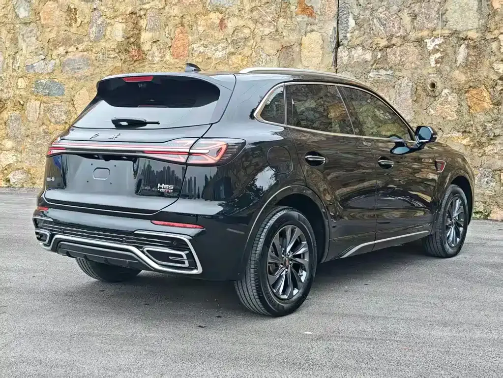 Hongqi HS5 2024 из CN, фото 7