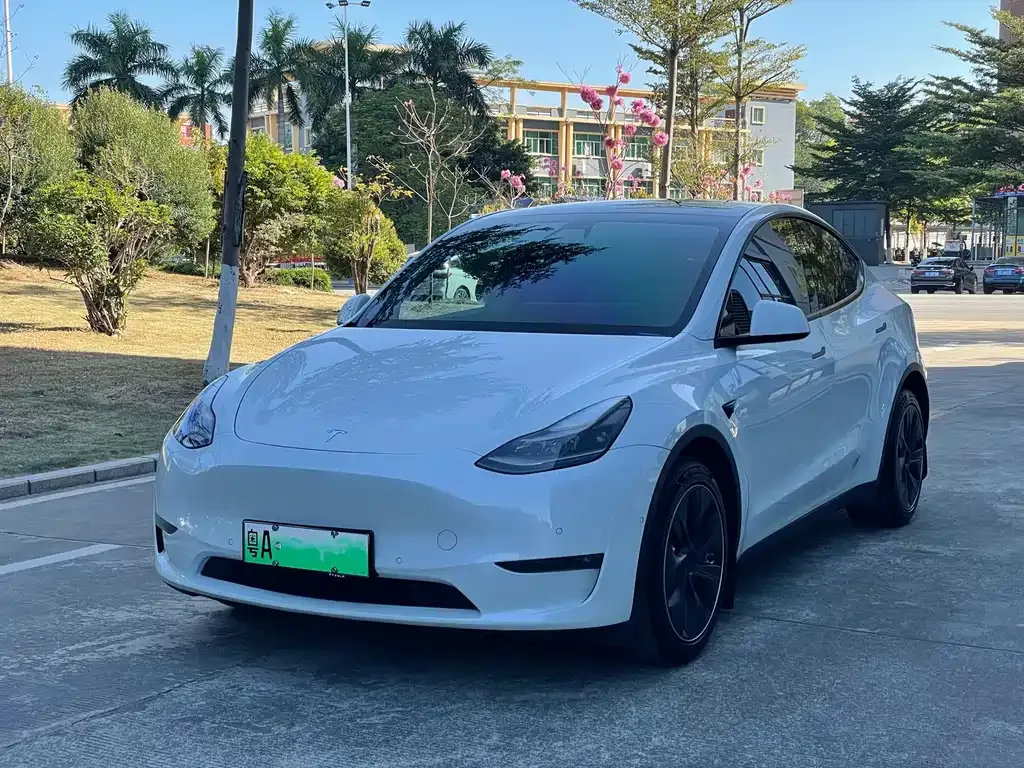 Tesla Model Y 2021 из CN, фото 1