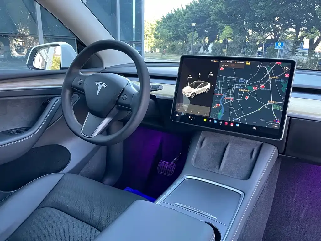 Tesla Model Y 2021 из CN, фото 10