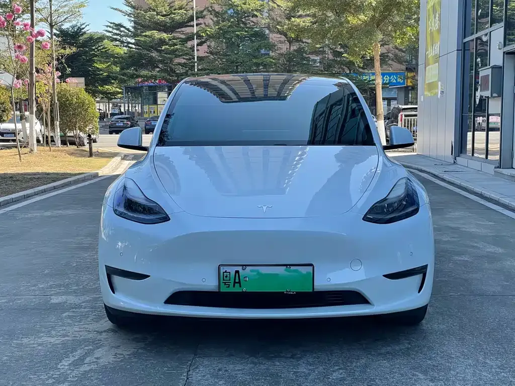 Tesla Model Y 2021 из CN, фото 2