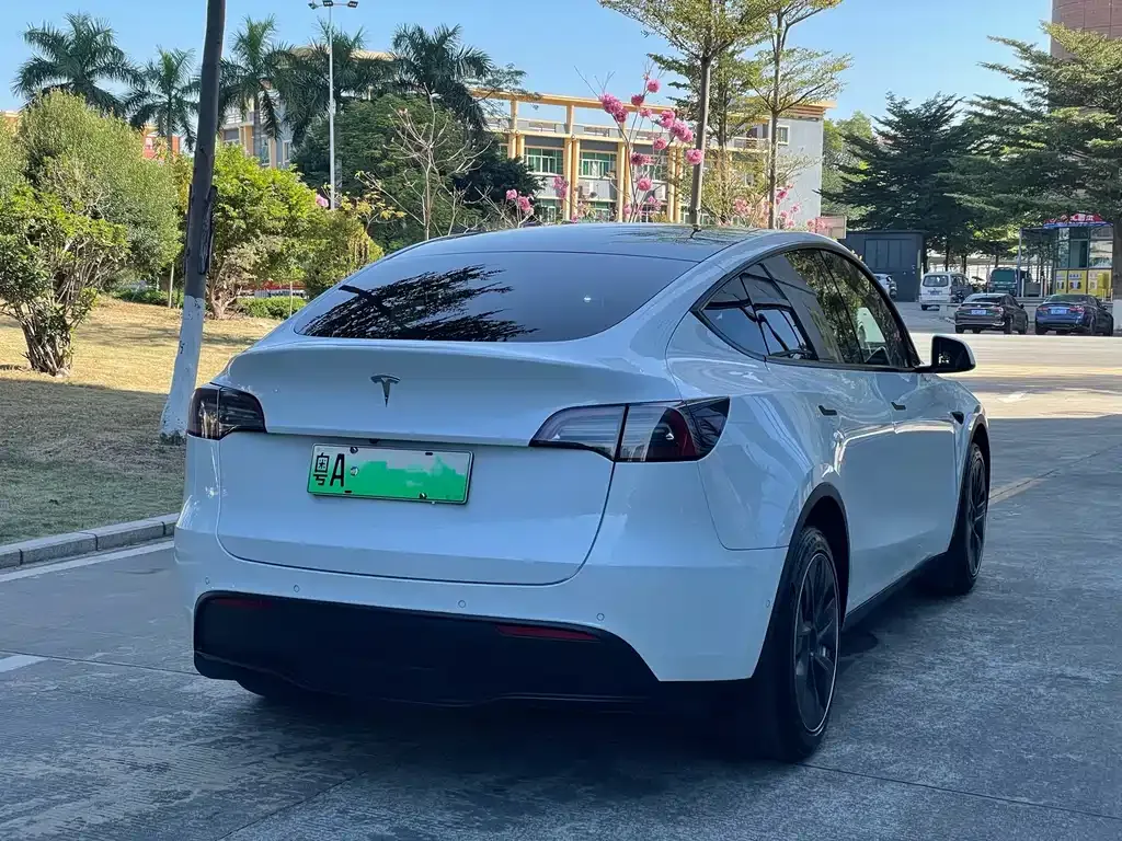Tesla Model Y 2021 из CN, фото 3