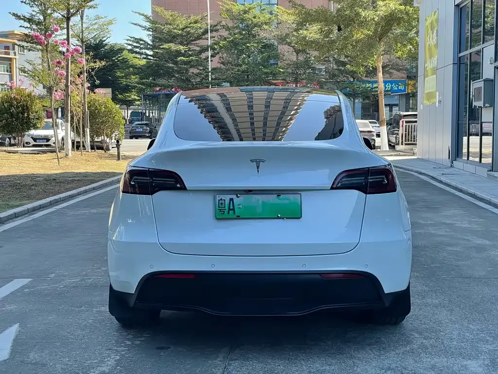 Tesla Model Y 2021 из CN, фото 4