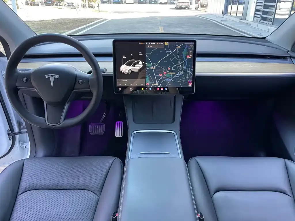 Tesla Model Y 2021 из CN, фото 5