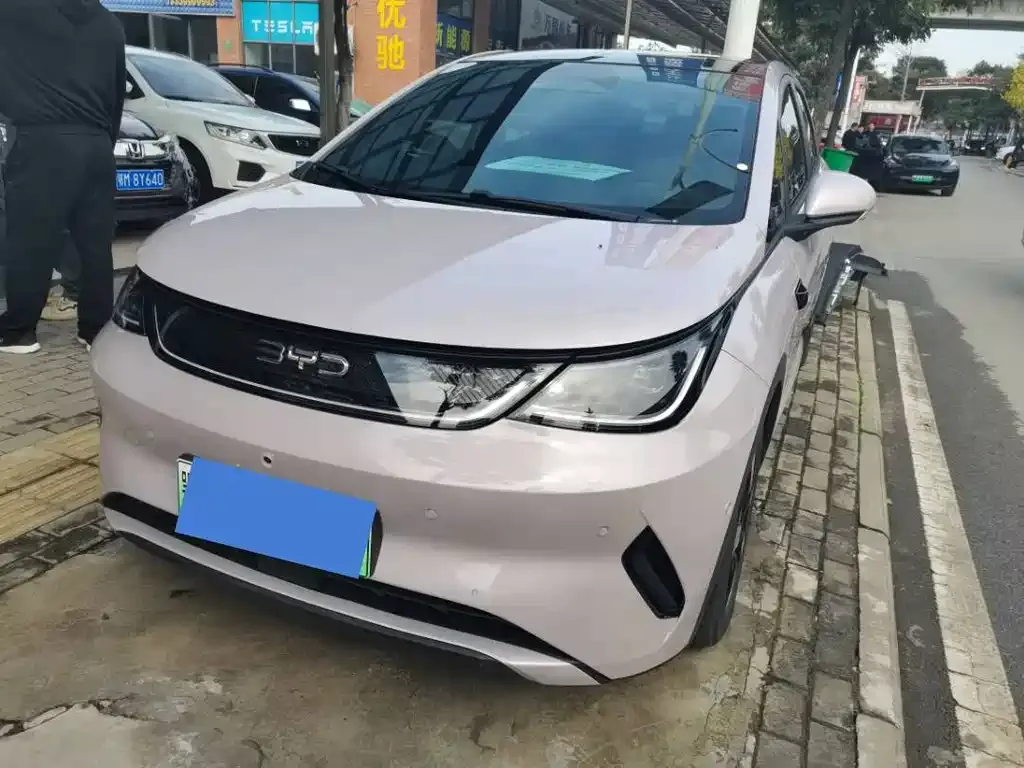 BYD Dolphin 2025 из CN, фото 1