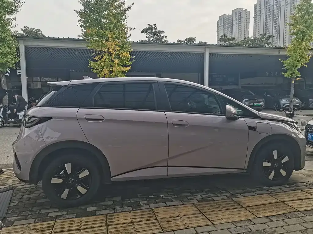 BYD Dolphin 2025 из CN, фото 8