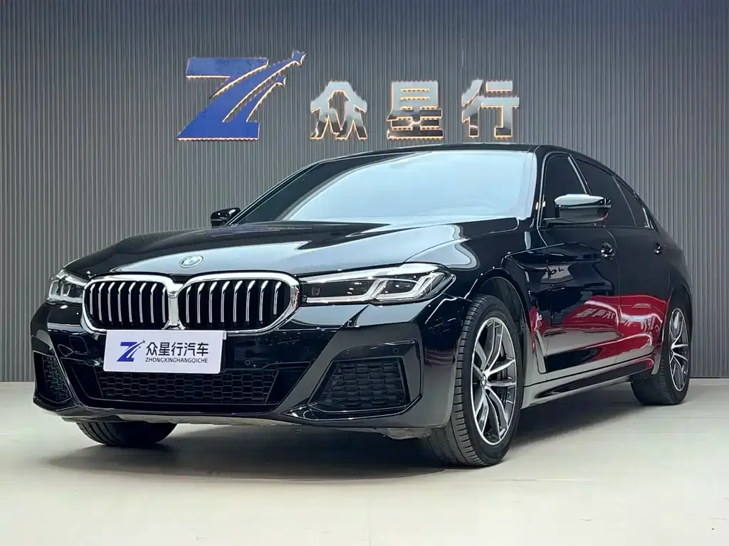 BMW 5 Series 2021 из CN, фото 1