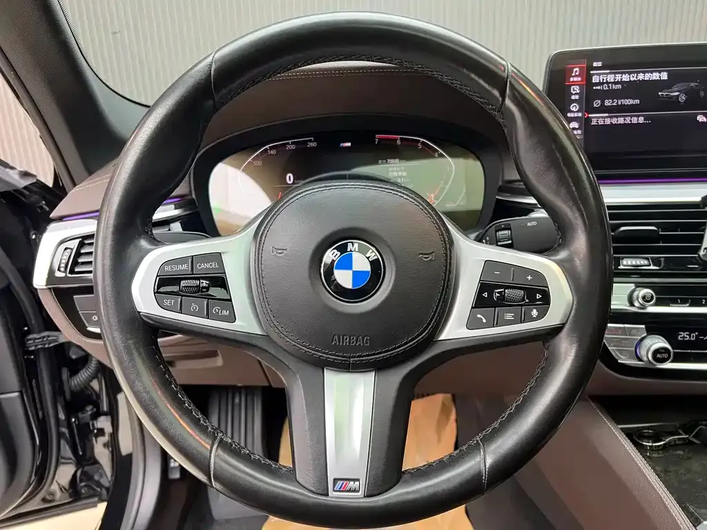 BMW 5 Series 2021 из CN, фото 10