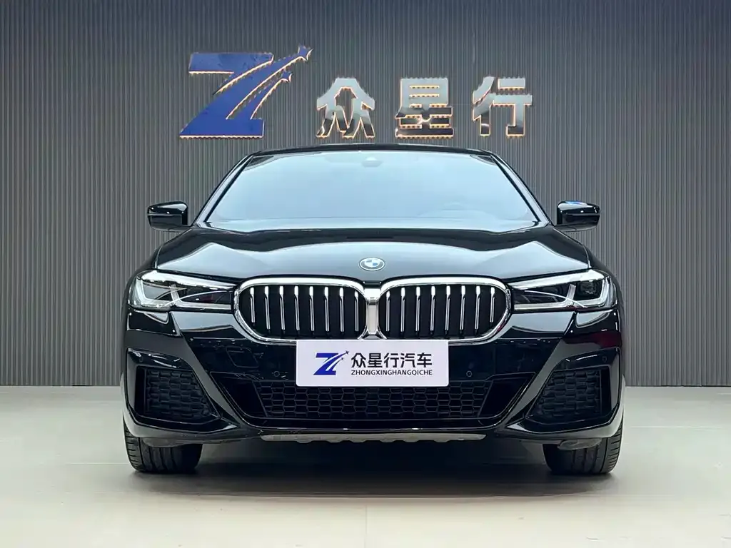 BMW 5 Series 2021 из CN, фото 2