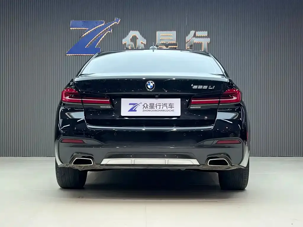 BMW 5 Series 2021 из CN, фото 4