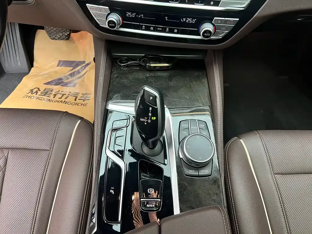 BMW 5 Series 2021 из CN, фото 6