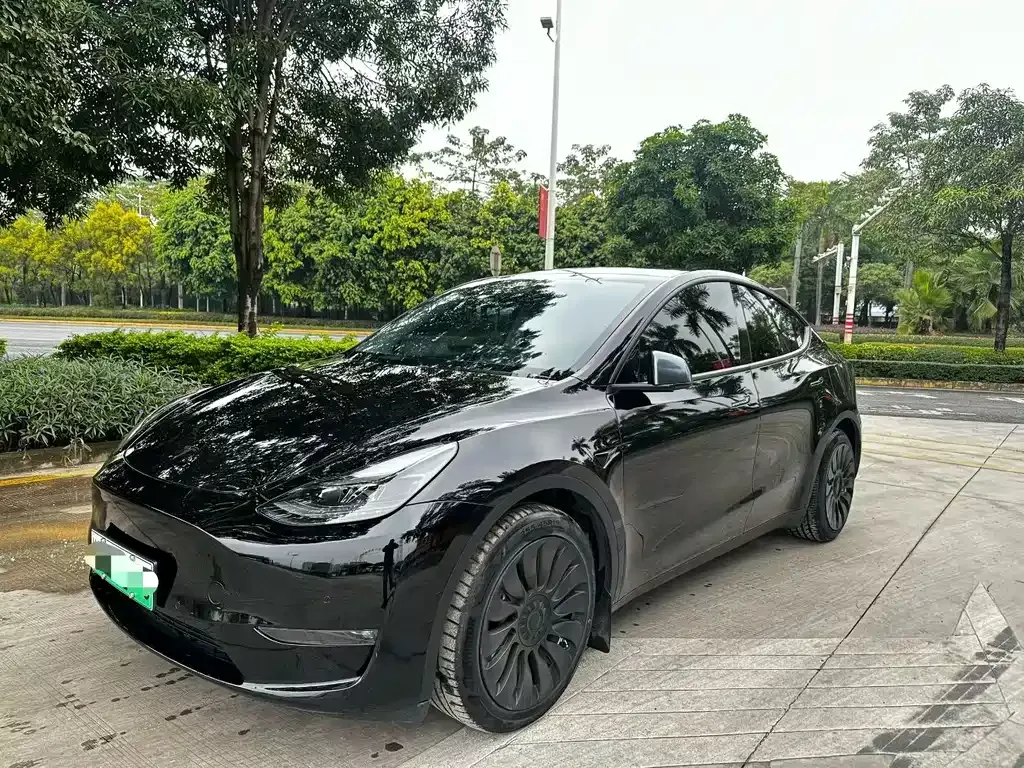 Tesla Model Y 2021 из CN, фото 1