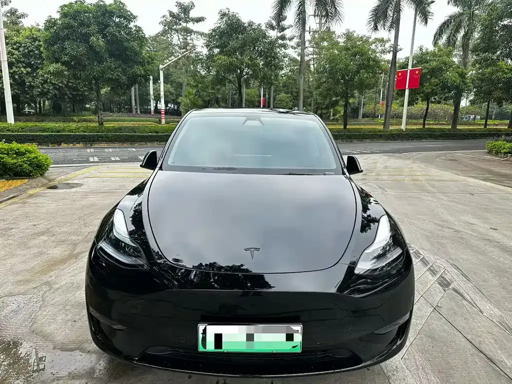 Tesla Model Y 2021 из CN, фото 2