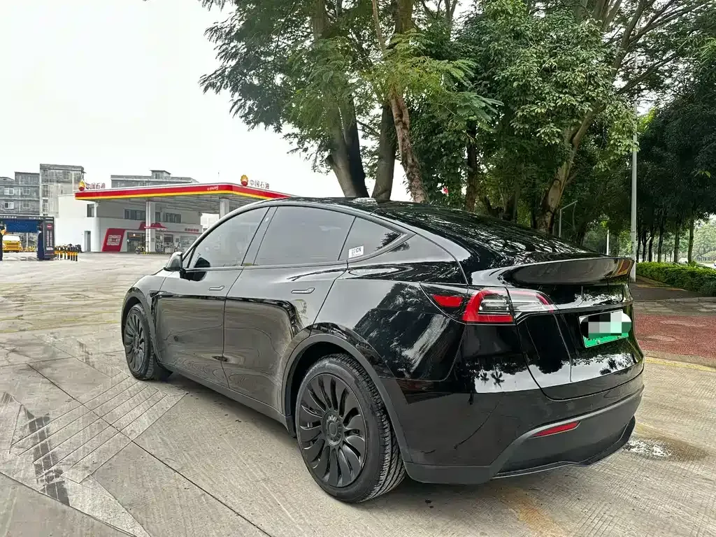 Tesla Model Y 2021 из CN, фото 3