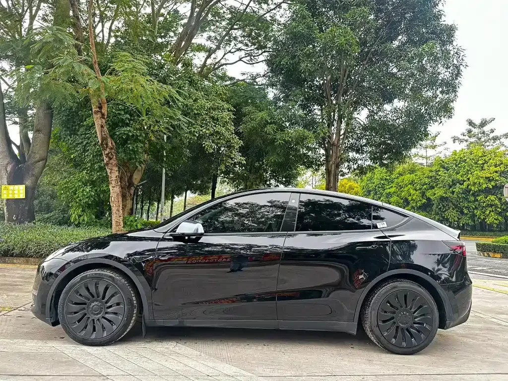 Tesla Model Y 2021 из CN, фото 4