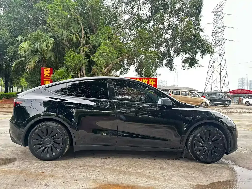 Tesla Model Y 2021 из CN, фото 5