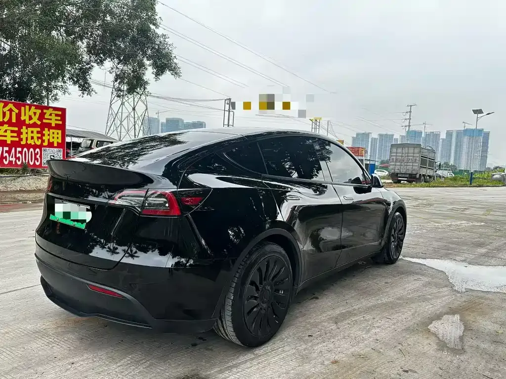 Tesla Model Y 2021 из CN, фото 6