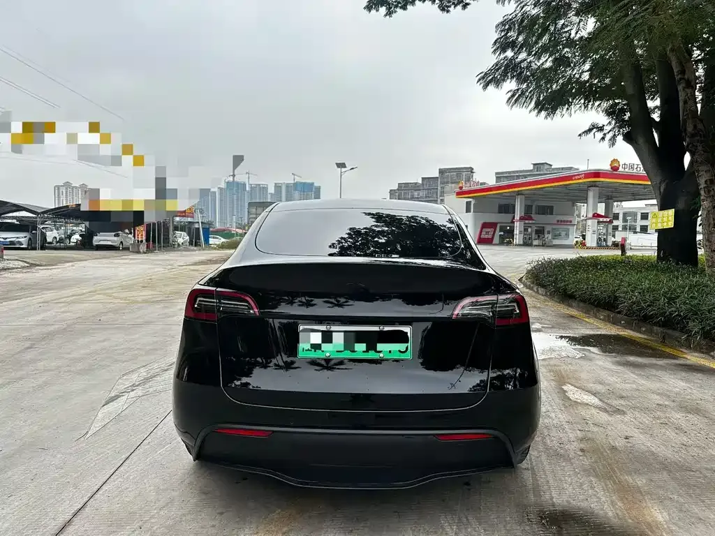 Tesla Model Y 2021 из CN, фото 7