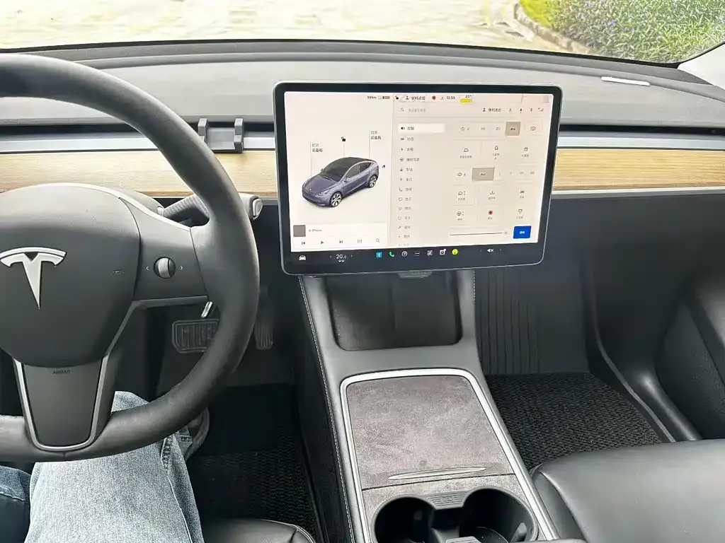 Tesla Model Y 2021 из CN, фото 8