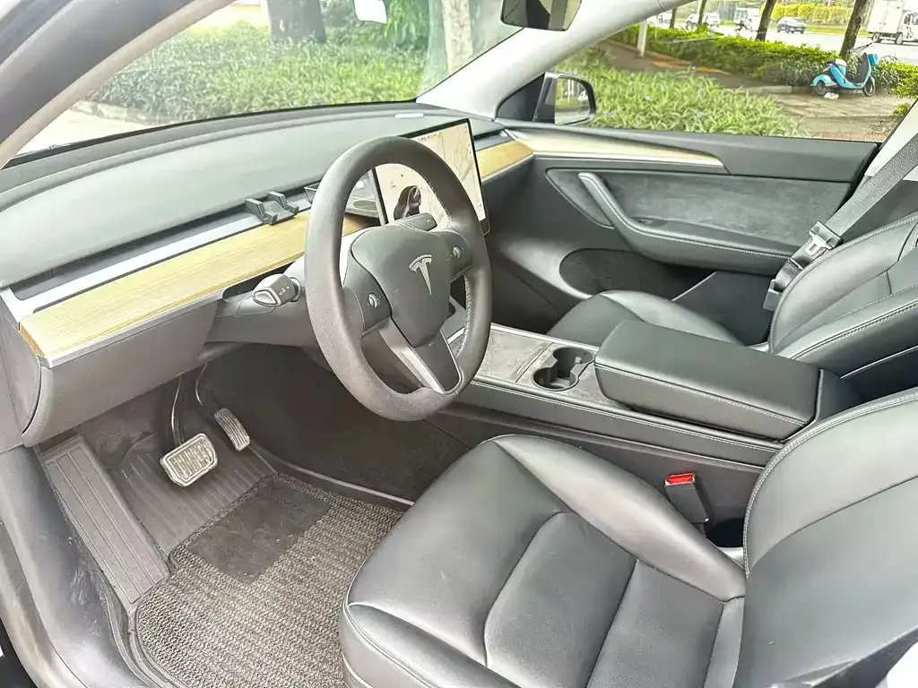 Tesla Model Y 2021 из CN, фото 9