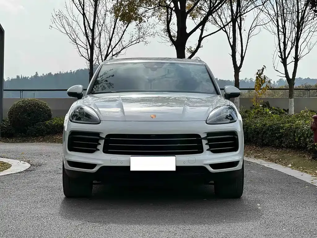Porsche Cayenne 2021 из CN, фото 2
