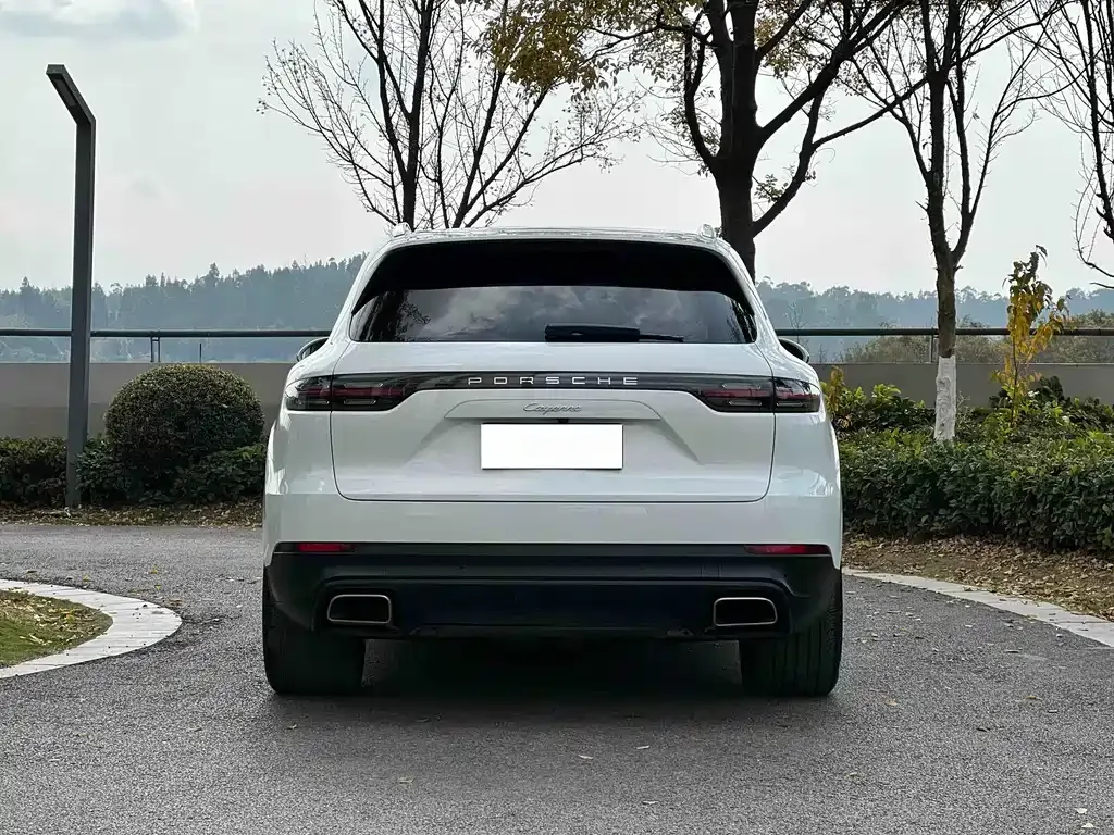 Porsche Cayenne 2021 из CN, фото 4