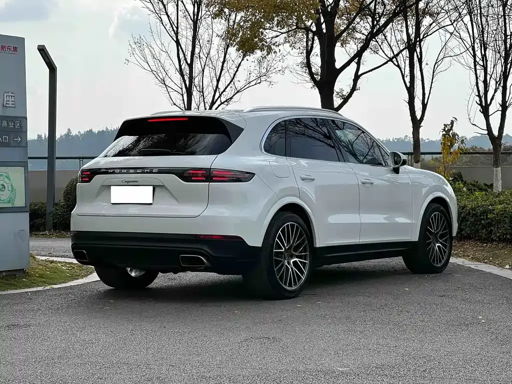 Porsche Cayenne 2021 из CN, фото 5