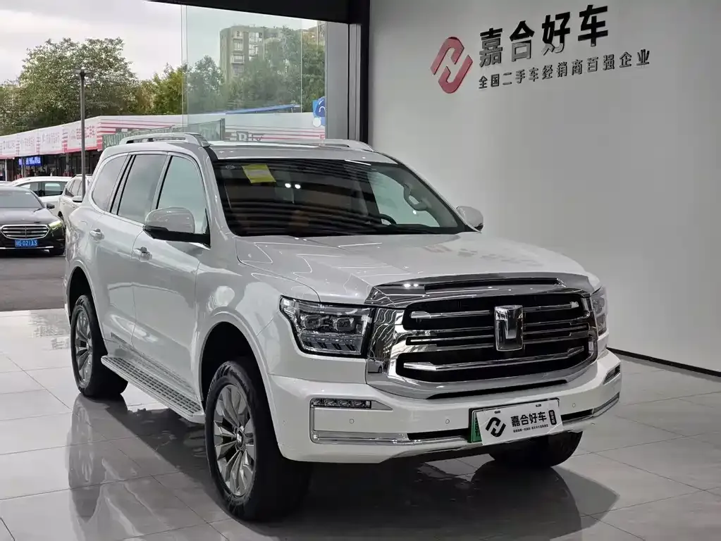 Tank 500 New Energy 2024 из CN, фото 3