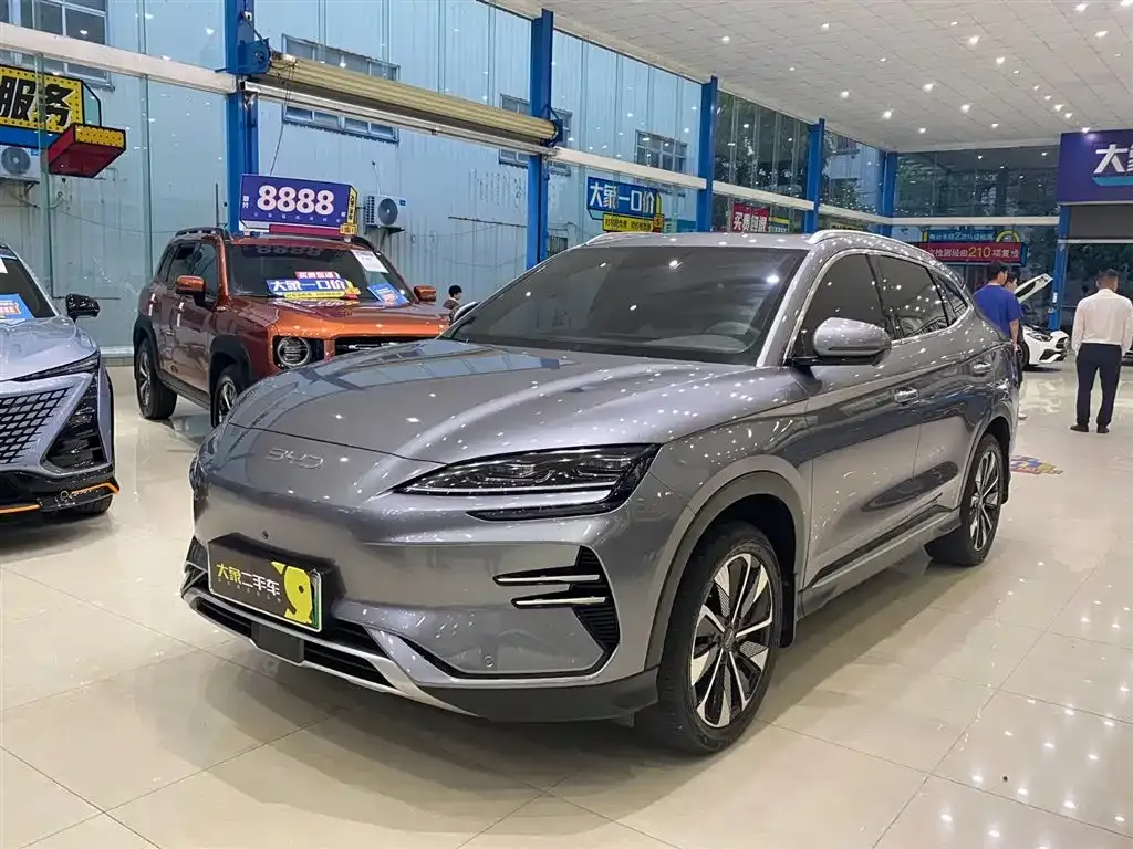 BYD PLUS New Energy 2024 из CN, фото 1