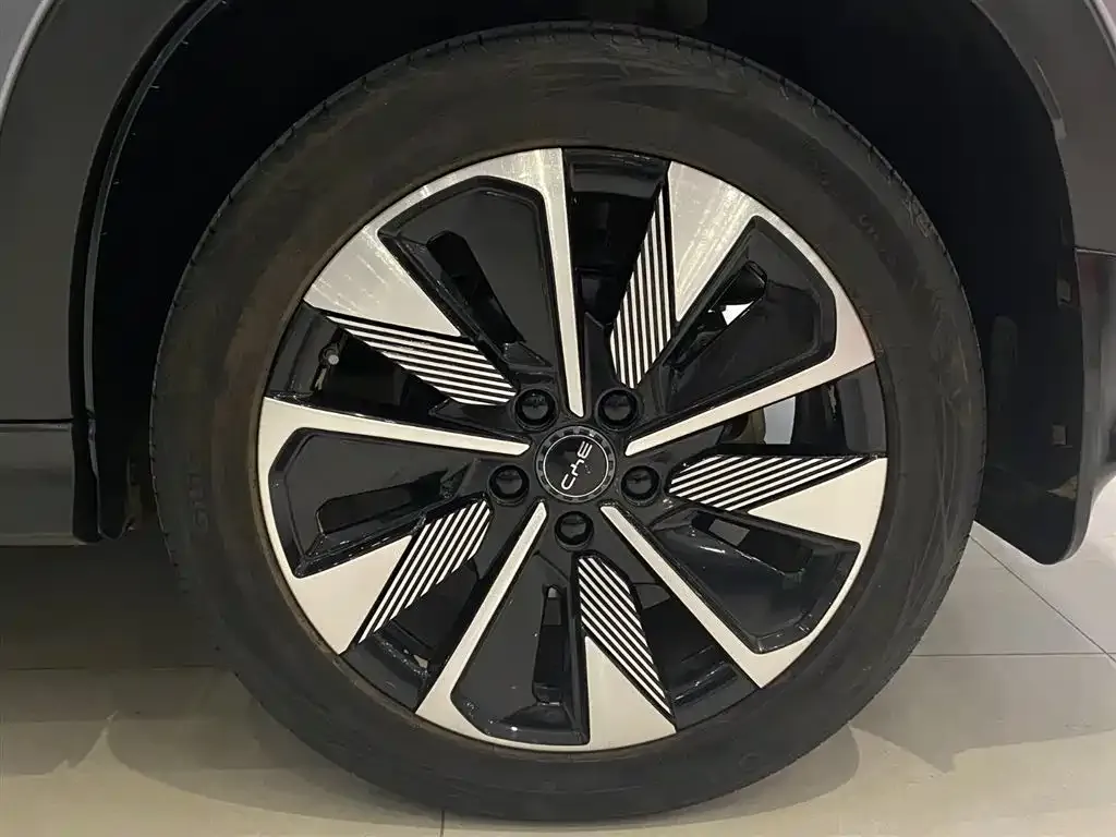 BYD PLUS New Energy 2024 из CN, фото 10