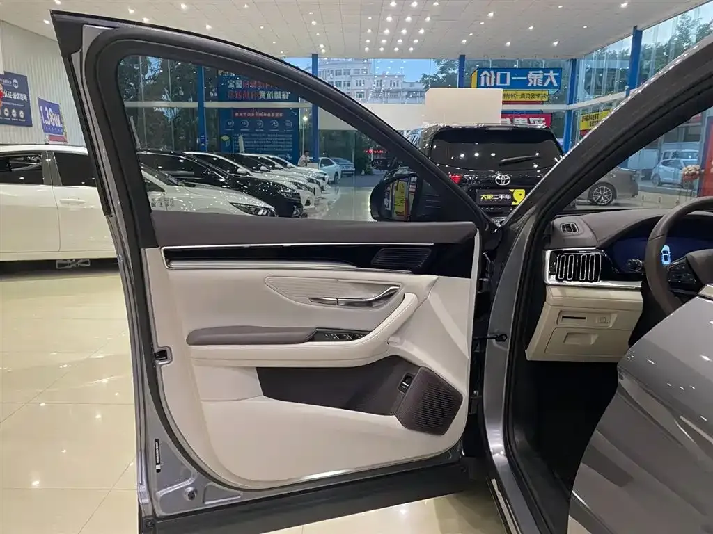 BYD PLUS New Energy 2024 из CN, фото 2