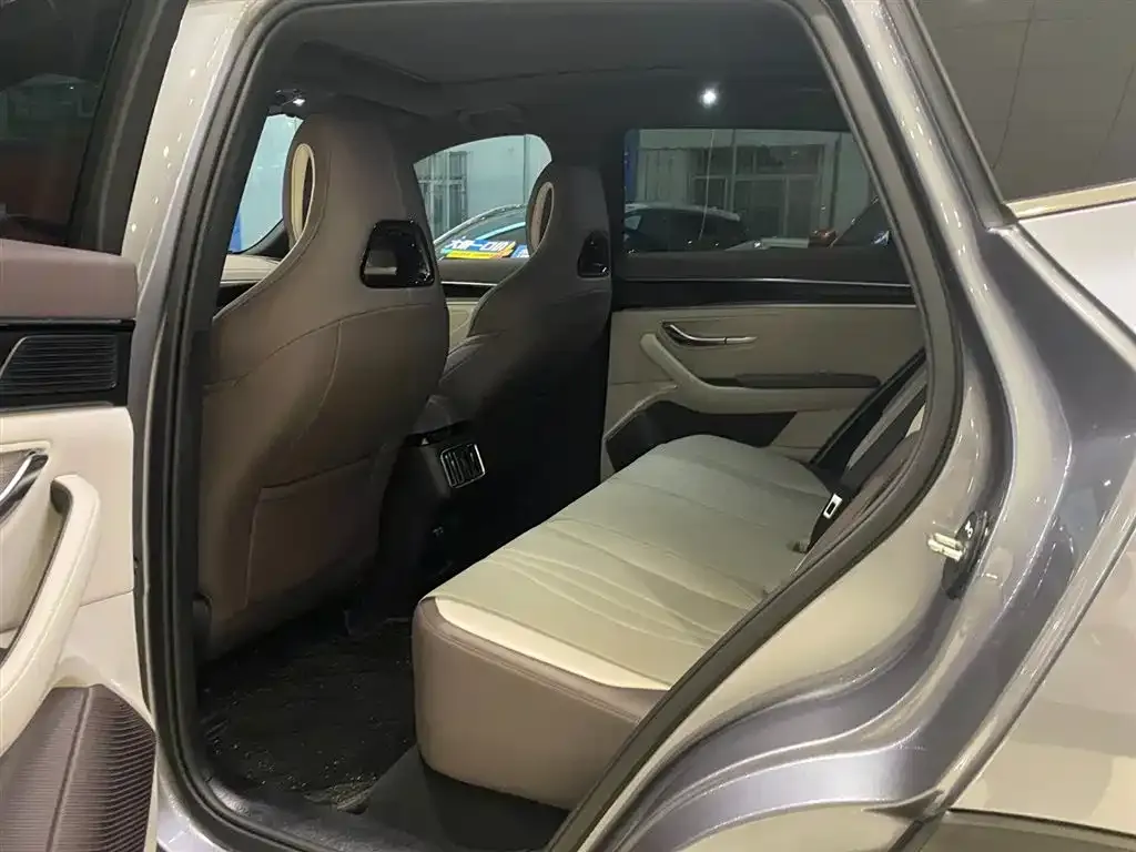 BYD PLUS New Energy 2024 из CN, фото 4