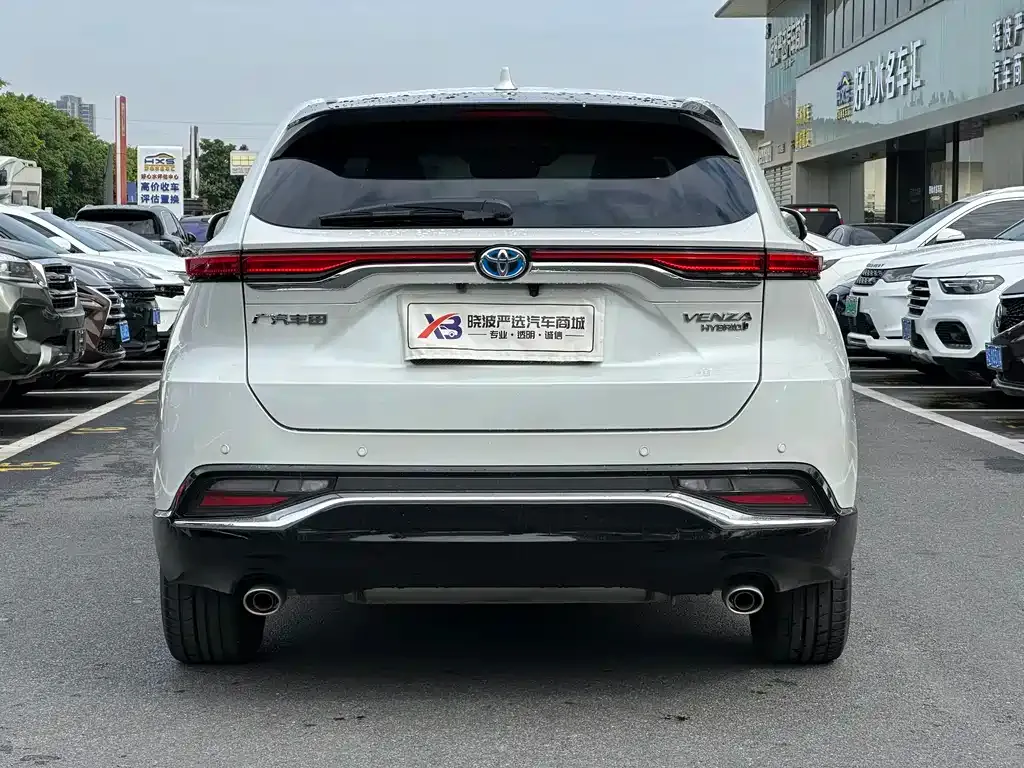 Toyota Venza 2024 из CN, фото 9