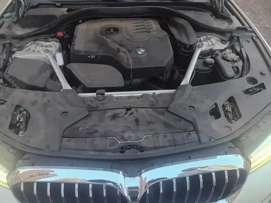 BMW 5 Series 2021 из CN, фото 10