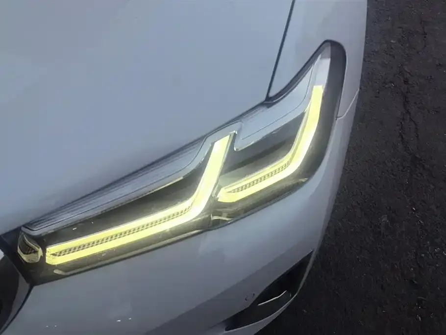 BMW 5 Series 2021 из CN, фото 5