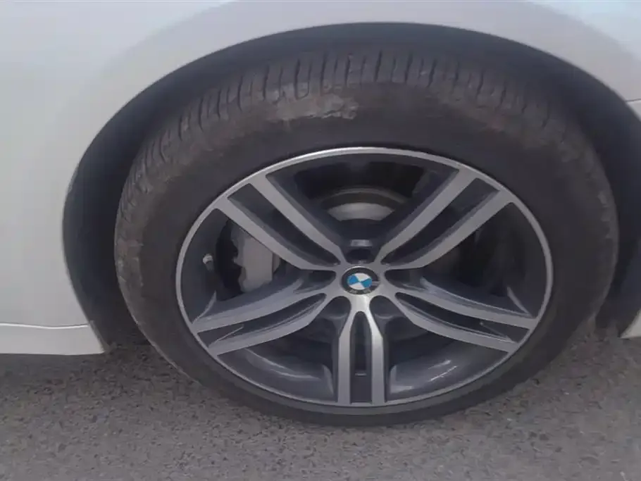 BMW 5 Series 2021 из CN, фото 6