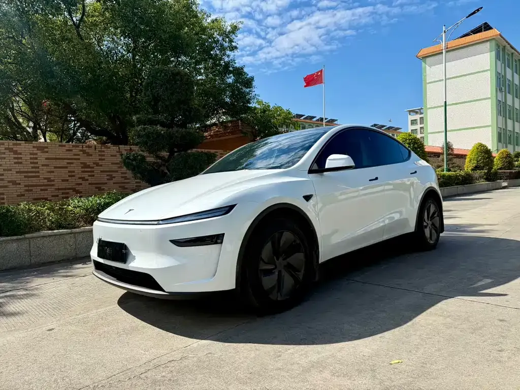 Tesla Model Y 2025 из CN, фото 1