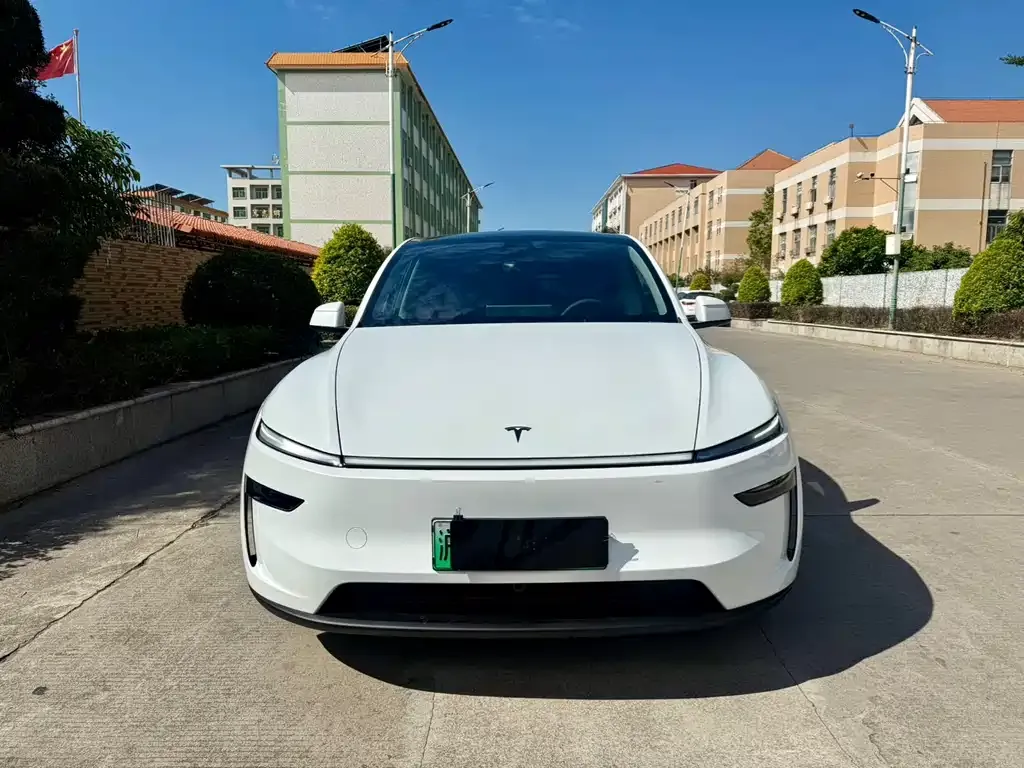 Tesla Model Y 2025 из CN, фото 2