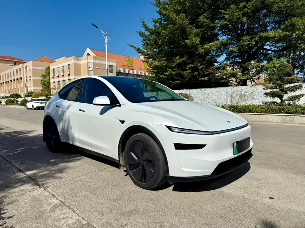 Tesla Model Y 2025 из CN, фото 3