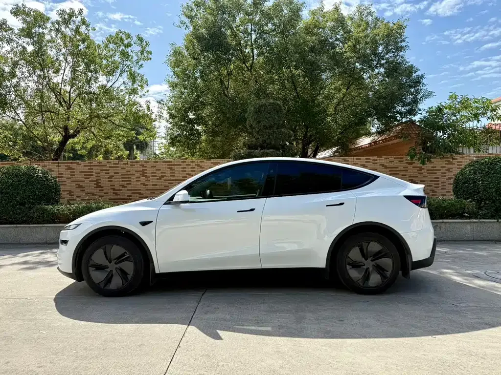 Tesla Model Y 2025 из CN, фото 4