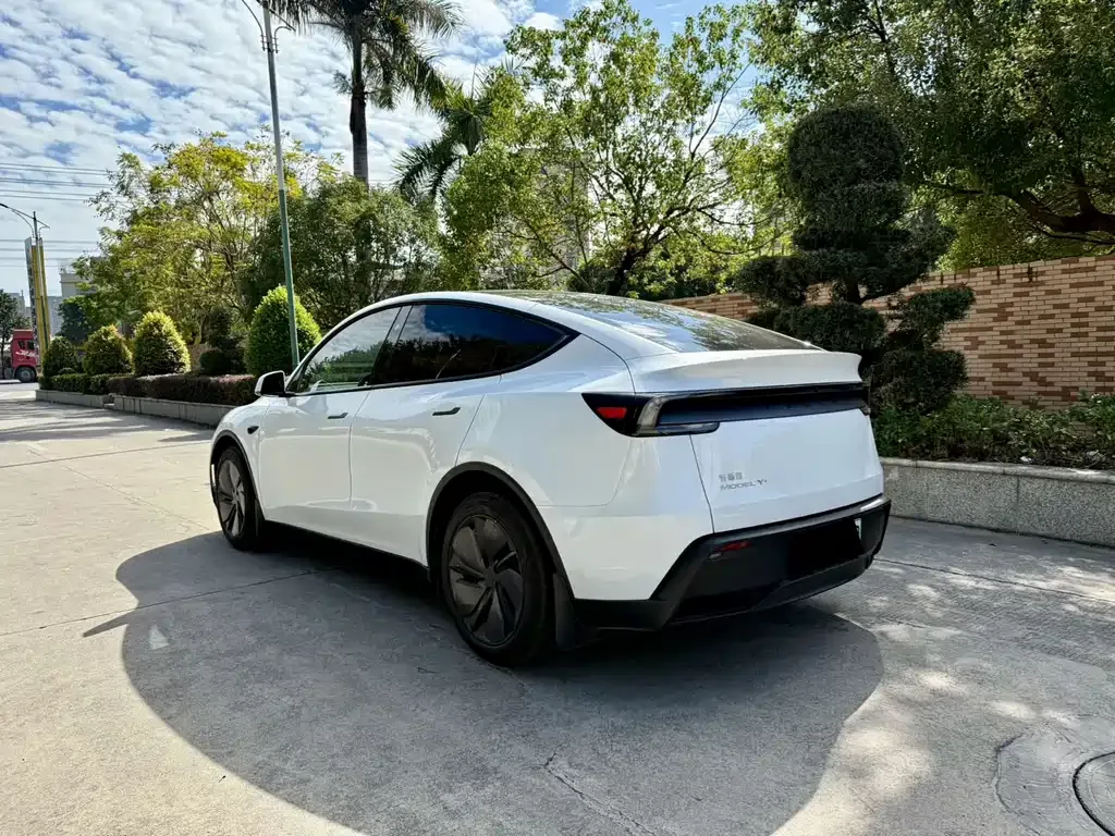 Tesla Model Y 2025 из CN, фото 5