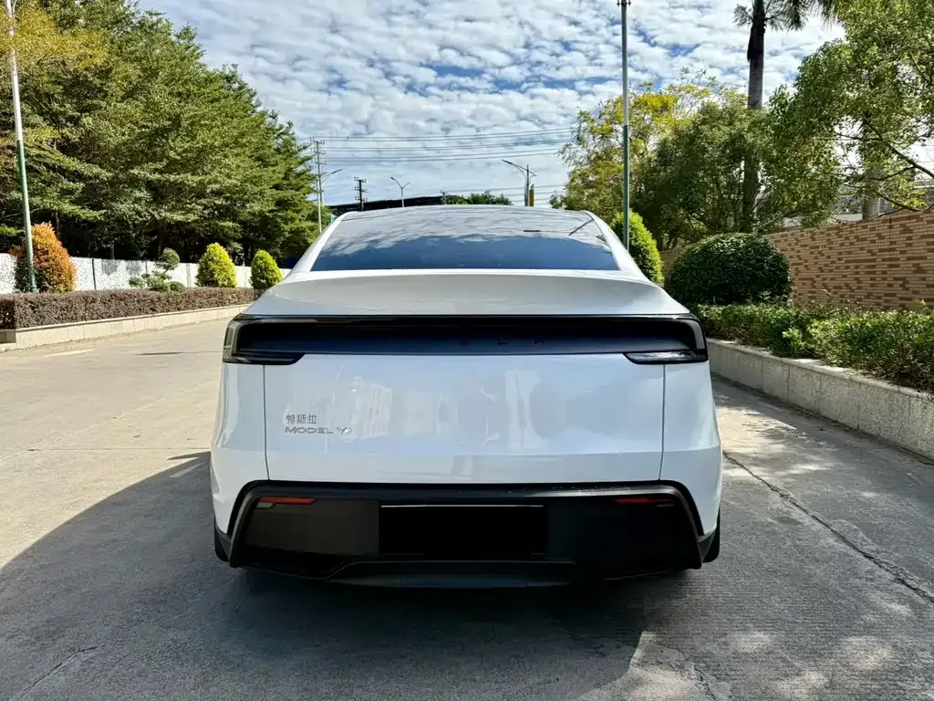 Tesla Model Y 2025 из CN, фото 6