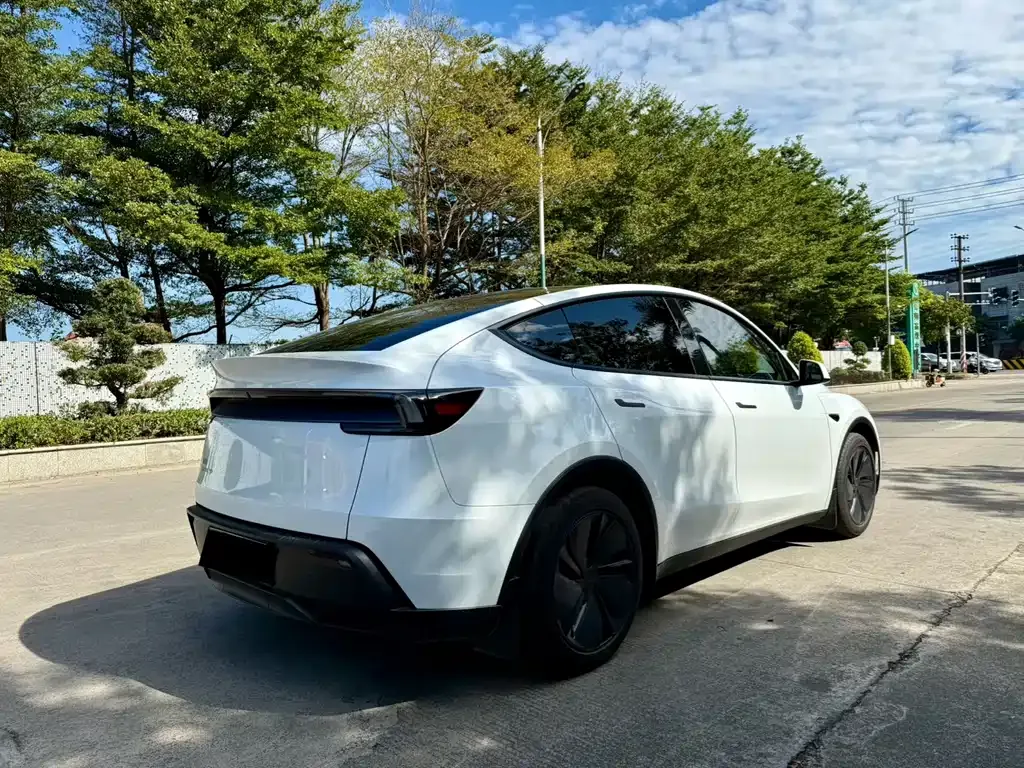 Tesla Model Y 2025 из CN, фото 7