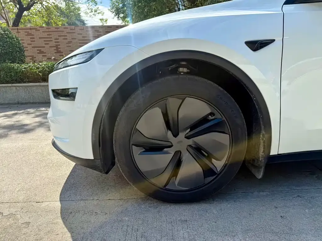 Tesla Model Y 2025 из CN, фото 8